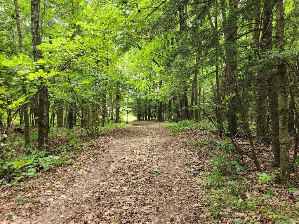Photo of On Yenter LANE, Wittenberg, WI 54499 (MLS # 22603794)