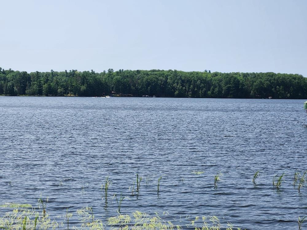 Photo of On Yenter LANE, Wittenberg, WI 54499 (MLS # 22603794)