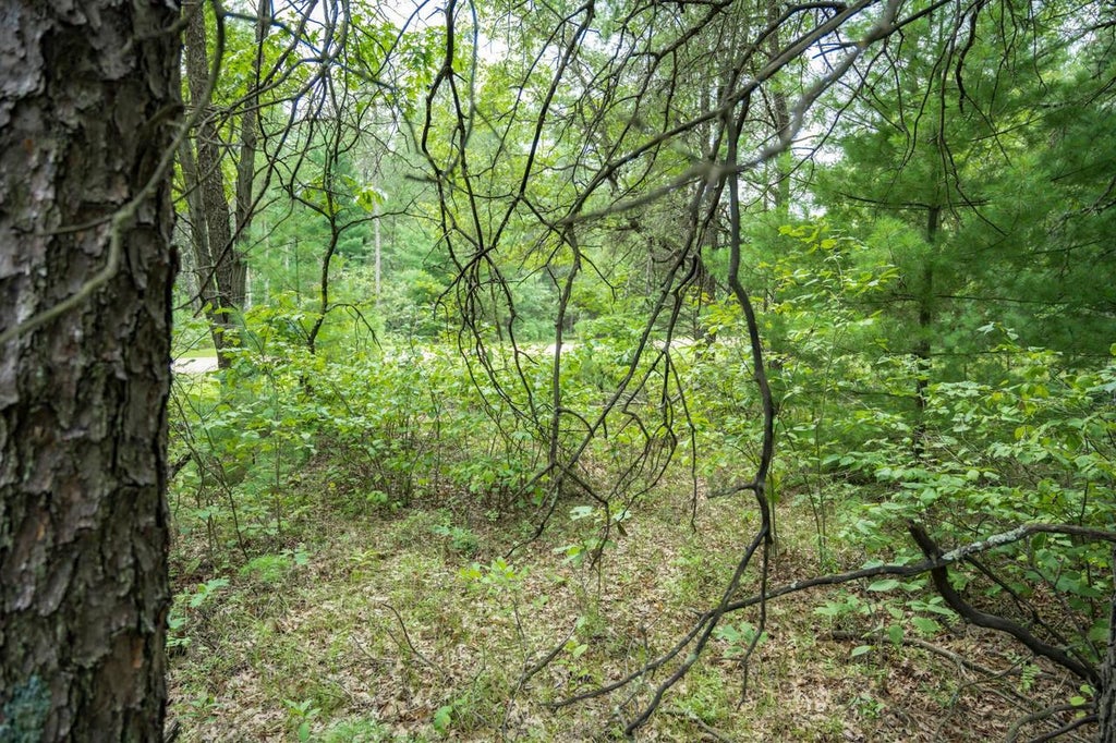 Photo of Lot 44 Morros Mile ROAD, Necedah, WI 54646 (MLS # 2030862)
