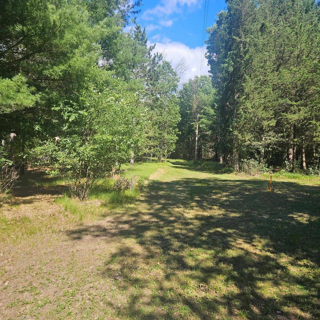 Photo of Lot 1 Woodland AVENUE, Montello, WI 53949 (MLS # 2032124)