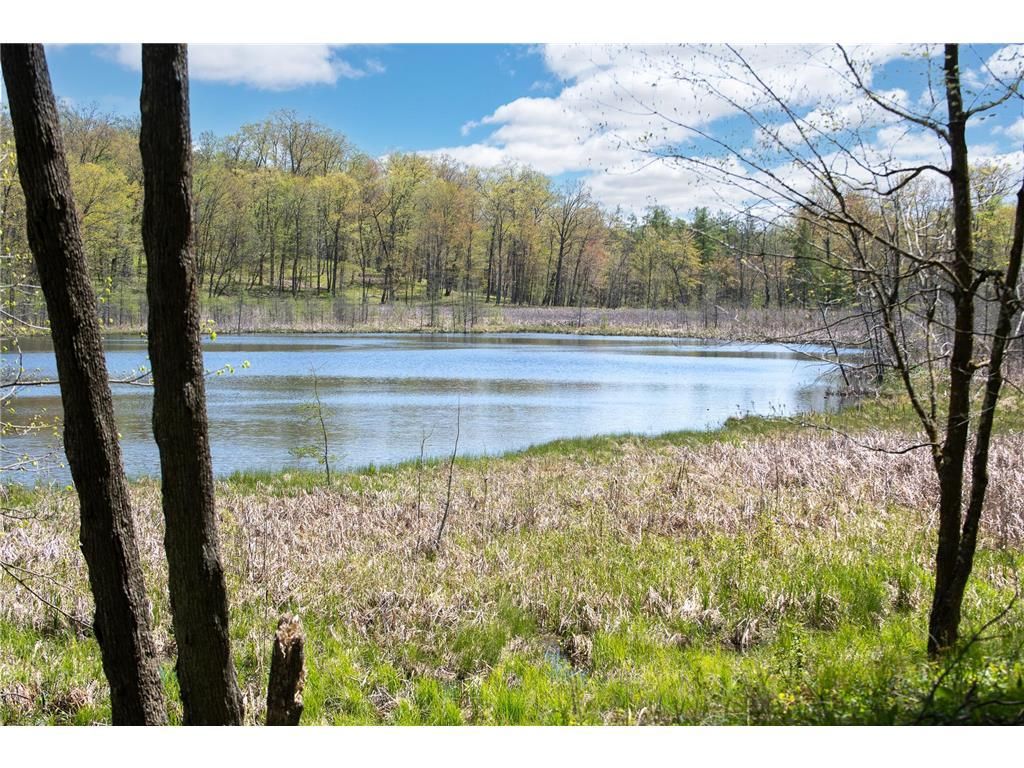 Photo of TBD 170th Ave/Cty Rd I, Balsam Lake, WI 54810 (MLS # 7079135)