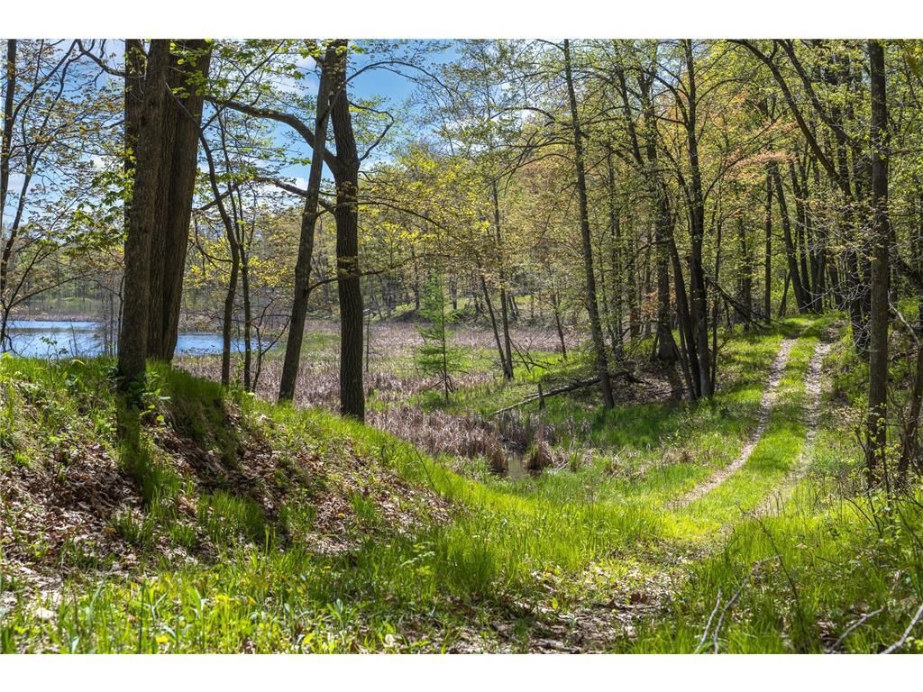 Photo of TBD 170th Ave/Cty Rd I, Balsam Lake, WI 54810 (MLS # 7079135)