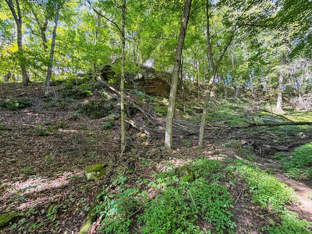 Photo of 000 Cty Rd FF, Wonewoc, WI 53968 (MLS # 2032239)