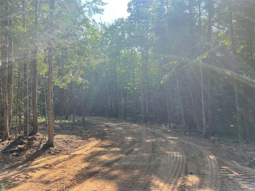 Photo of Lot 4 Uncle Toms ROAD, Loretta, WI 54896 (MLS # 1603743)