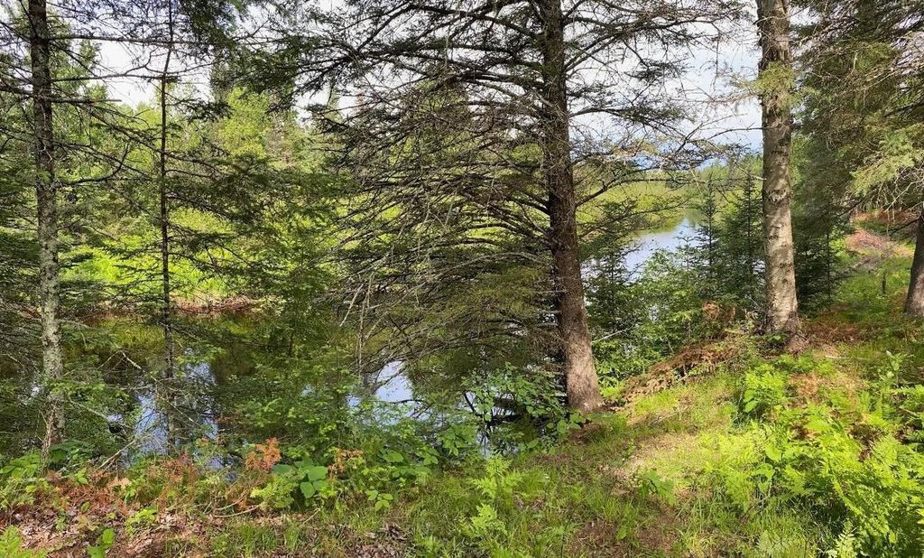 Photo of 0000 Garvin PLACE, Tripoli, WI 54564 (MLS # 22600535)