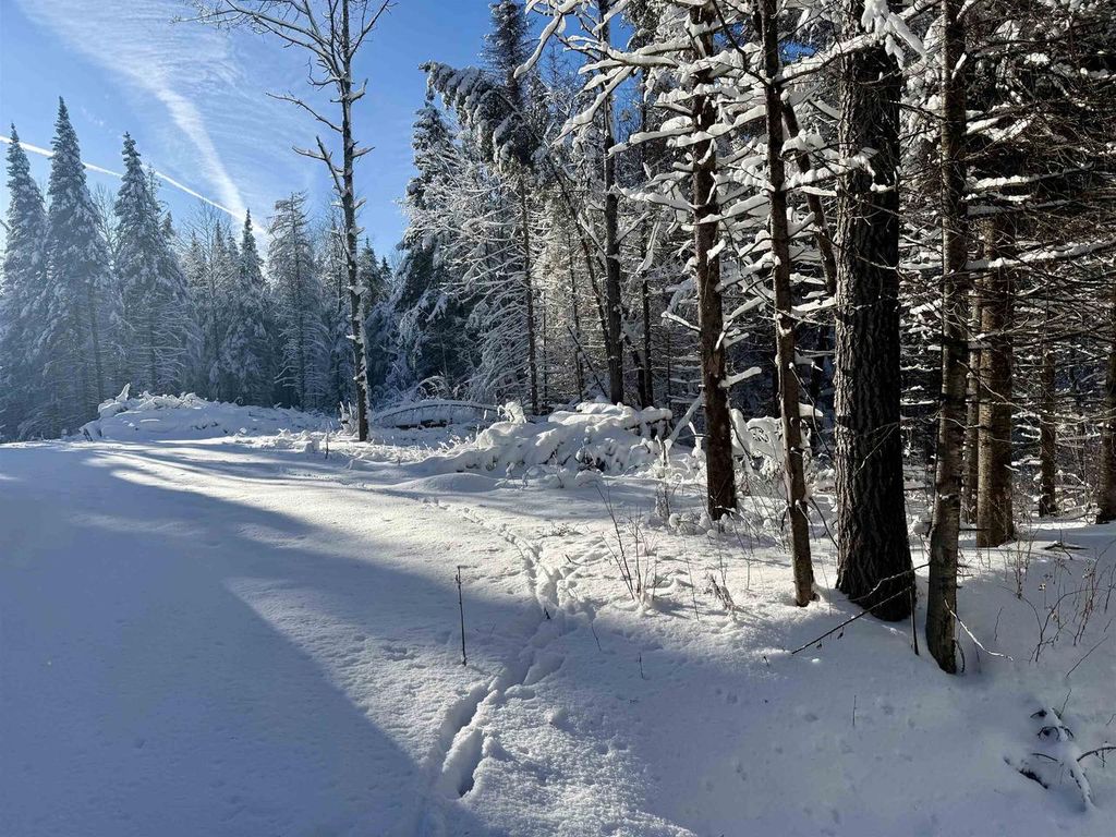 Photo of 0000 Garvin PLACE, Tripoli, WI 54564 (MLS # 22600535)