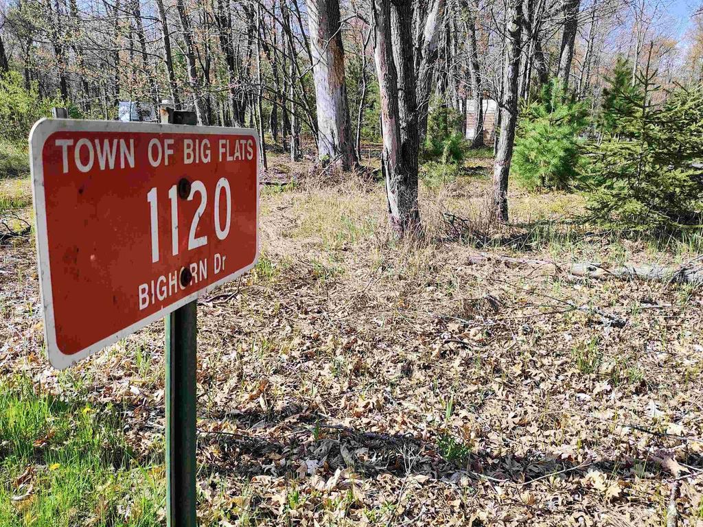Photo of 1120 Bighorn DRIVE, Arkdale, WI 54613 (MLS # 2021977)