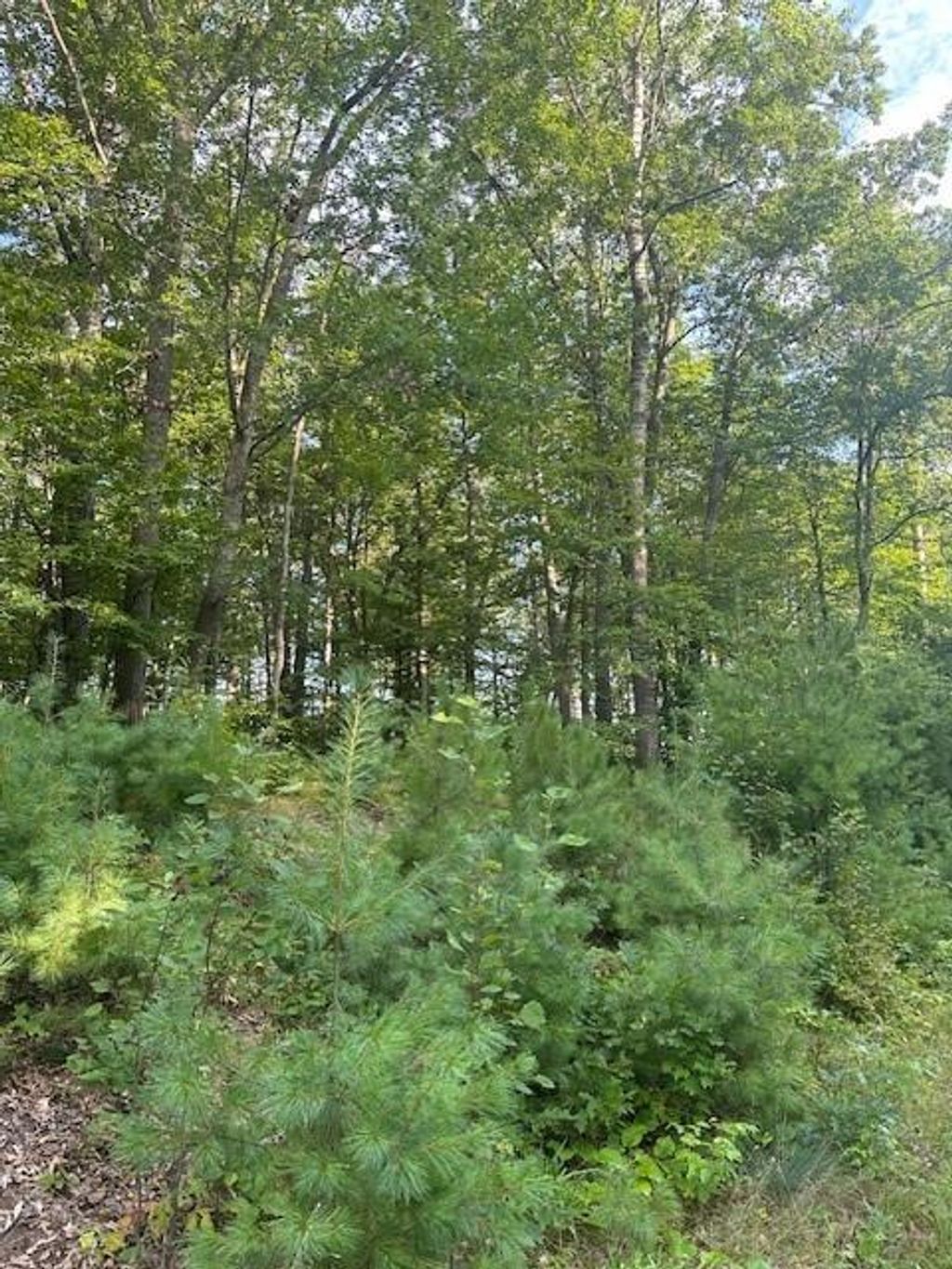 Photo of 0000 Cesna Ln LANE, Spooner, WI 54801 (MLS # 1599228)
