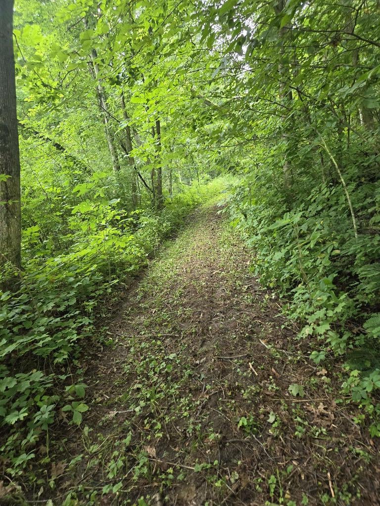 Photo of TBD Marshall Rd ROAD, Richland Center, WI 53581 (MLS # 2031243)