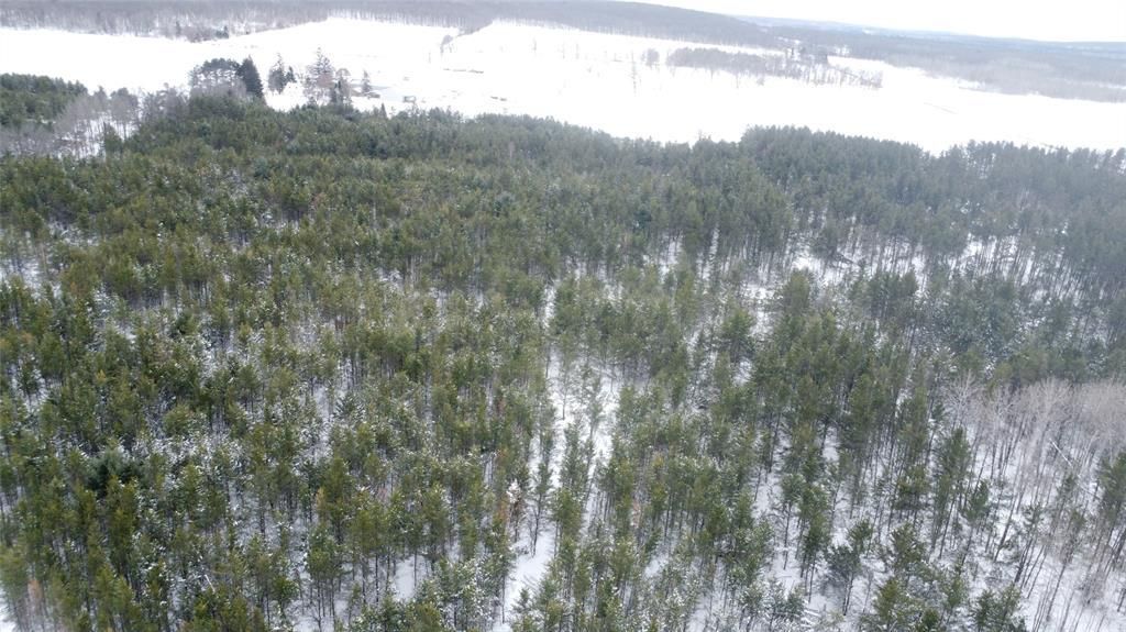 Photo of N 6319 Peace LANE, Spooner, WI 54801 (MLS # 1599916)