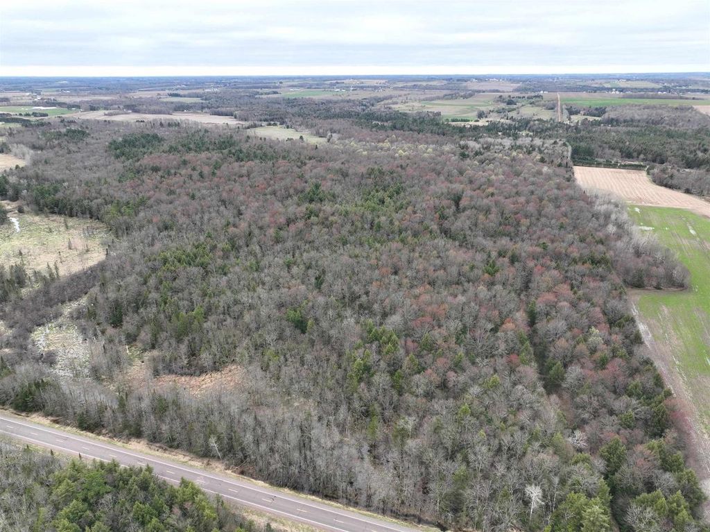 Photo of 118.88 Acres on County Road O, Marathon, WI 54448 (MLS # 22601771)