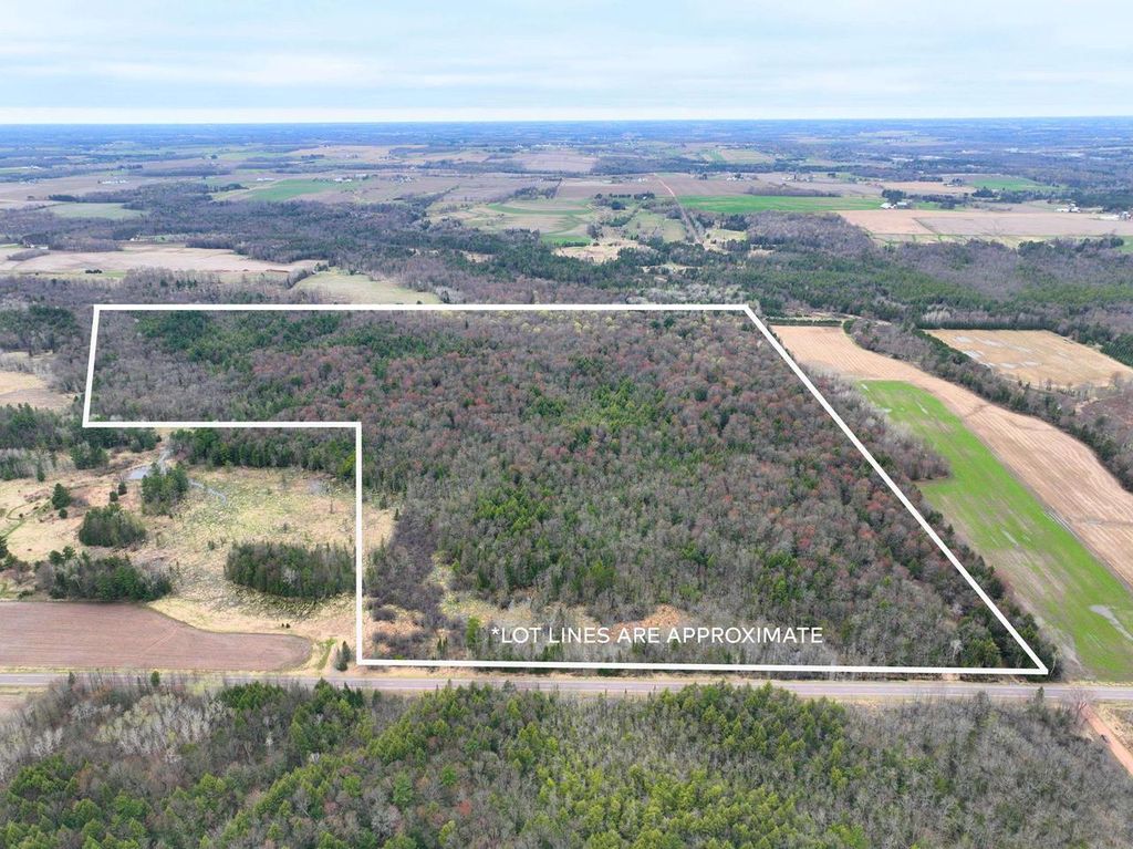 Photo of 118.88 Acres on County Road O, Marathon, WI 54448 (MLS # 22601771)