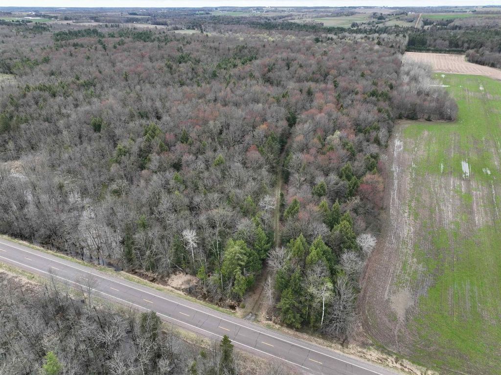 Photo of 118.88 Acres on County Road O, Marathon, WI 54448 (MLS # 22601771)