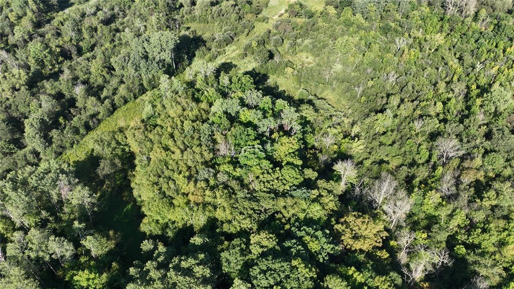 Photo of XX County Rd O, Boyceville, WI 54725 (MLS # 1604881)
