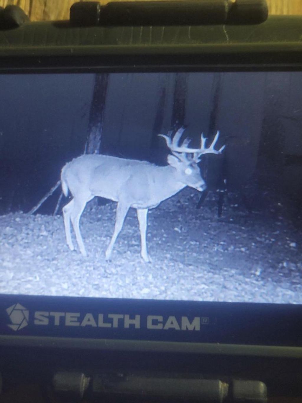 Photo of 12461 River Road ROAD, Soldiers Grove, WI 54655 (MLS # 2010164)