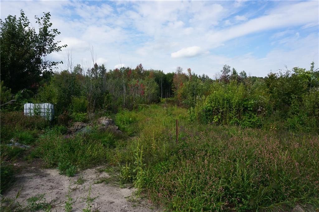 Photo of 00 Badger AVENUE, Granton, WI 54436 (MLS # 1595729)