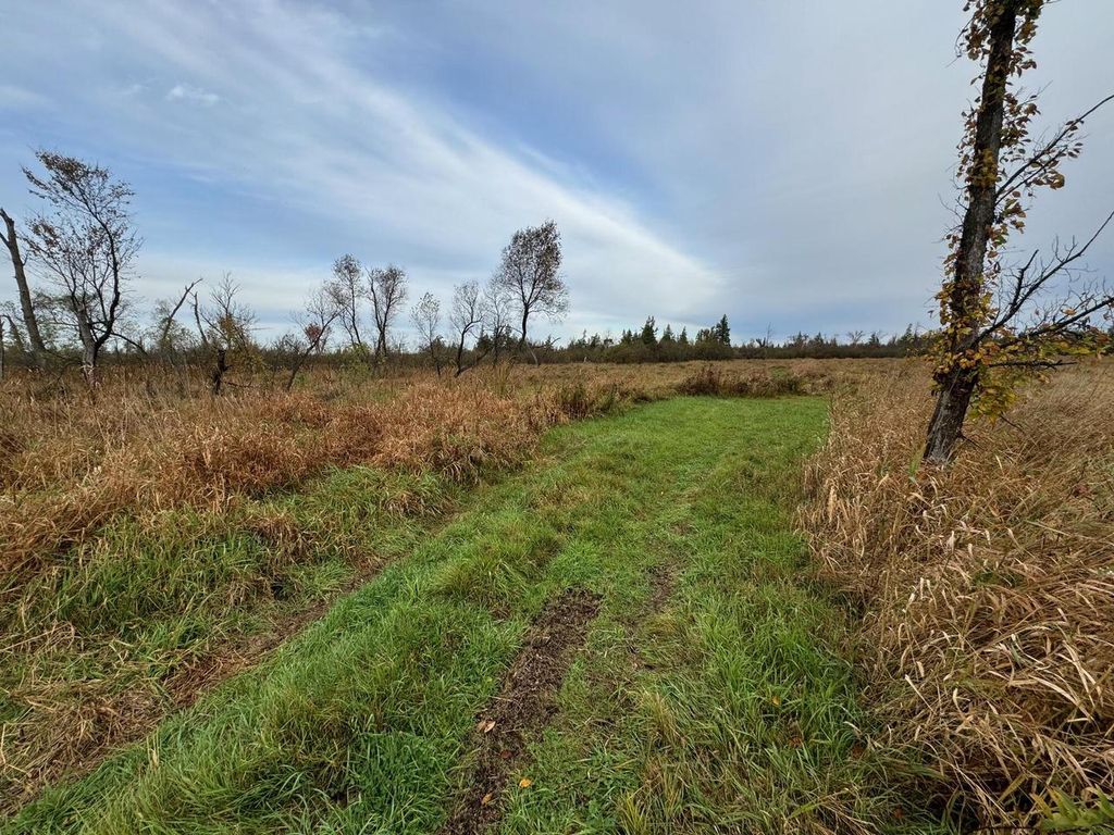 Photo of Lt1234 State Road H, Poy Sippi, WI 54967 (MLS # 1939989)