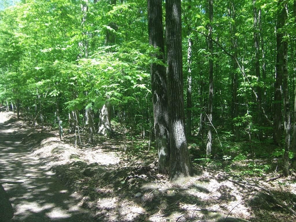 Photo of 4.85 Acres Joes ROAD, Conrath, WI 54731 (MLS # 1600534)