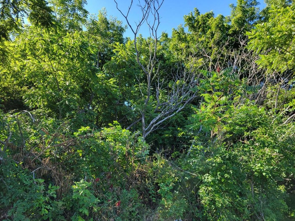 Photo of Lt1 Cedar STREET, Lake Geneva, WI 53147 (MLS # 1940201)