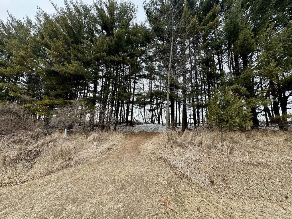Photo of 3.105 Acres County Road P, Cambria, WI 53923 (MLS # 2017031)