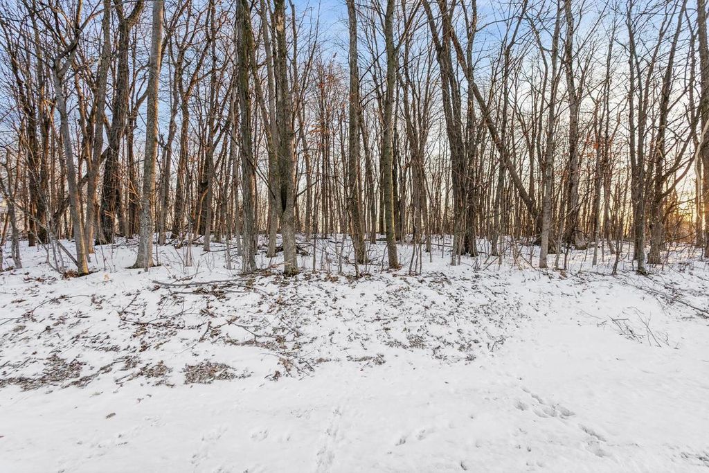Photo of W5413 Michael DRIVE, Hilbert, WI 54129 (MLS # 50320842)
