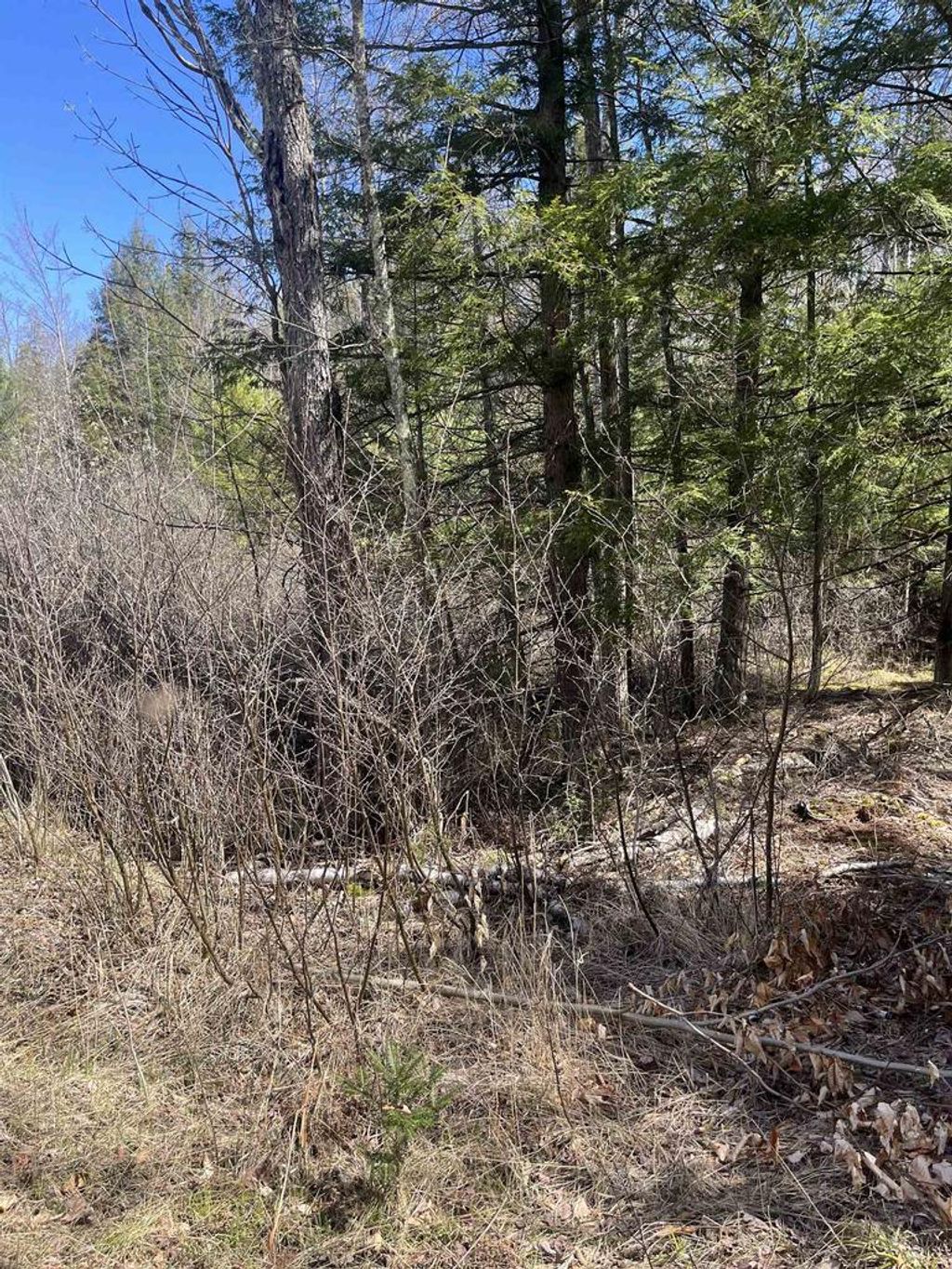 Photo of Lake John ROAD, Lakewood, WI 54138 (MLS # 50321509)