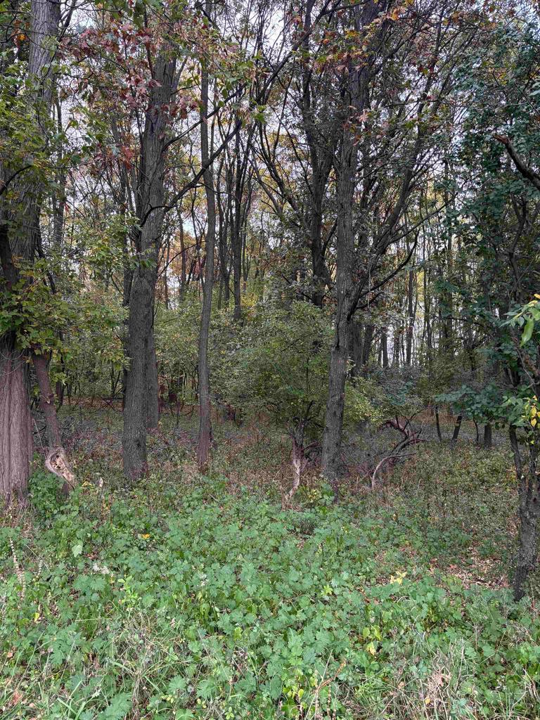 Photo of Bowling LANE, Waupaca, WI 54981 (MLS # 50334342)