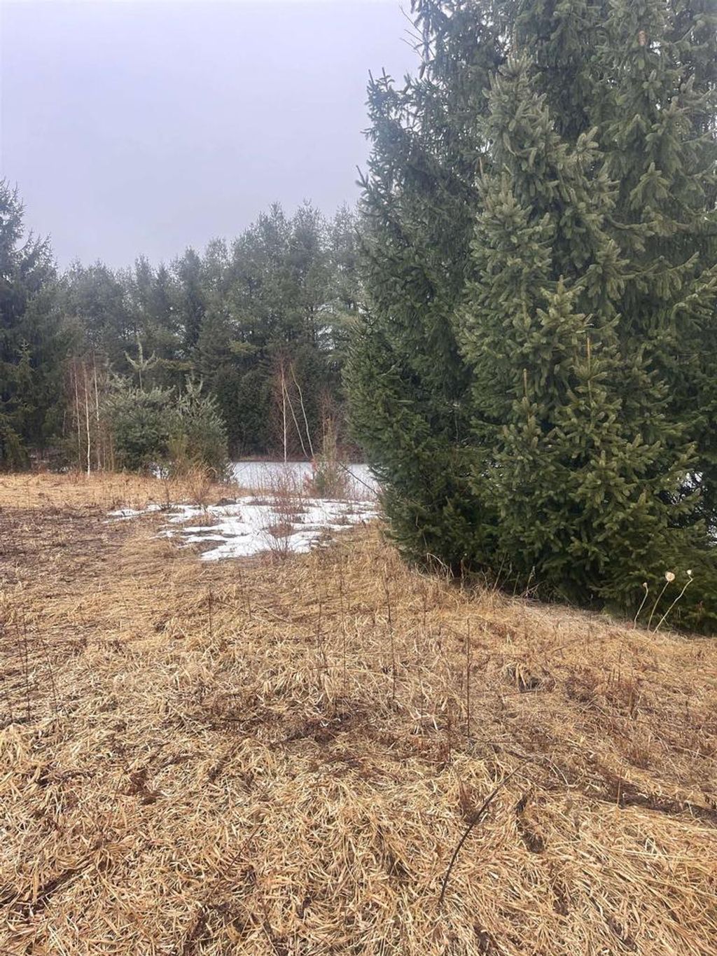 Photo of N4664 Esquina COURT, Krakow, WI 54137 (MLS # 50322019)