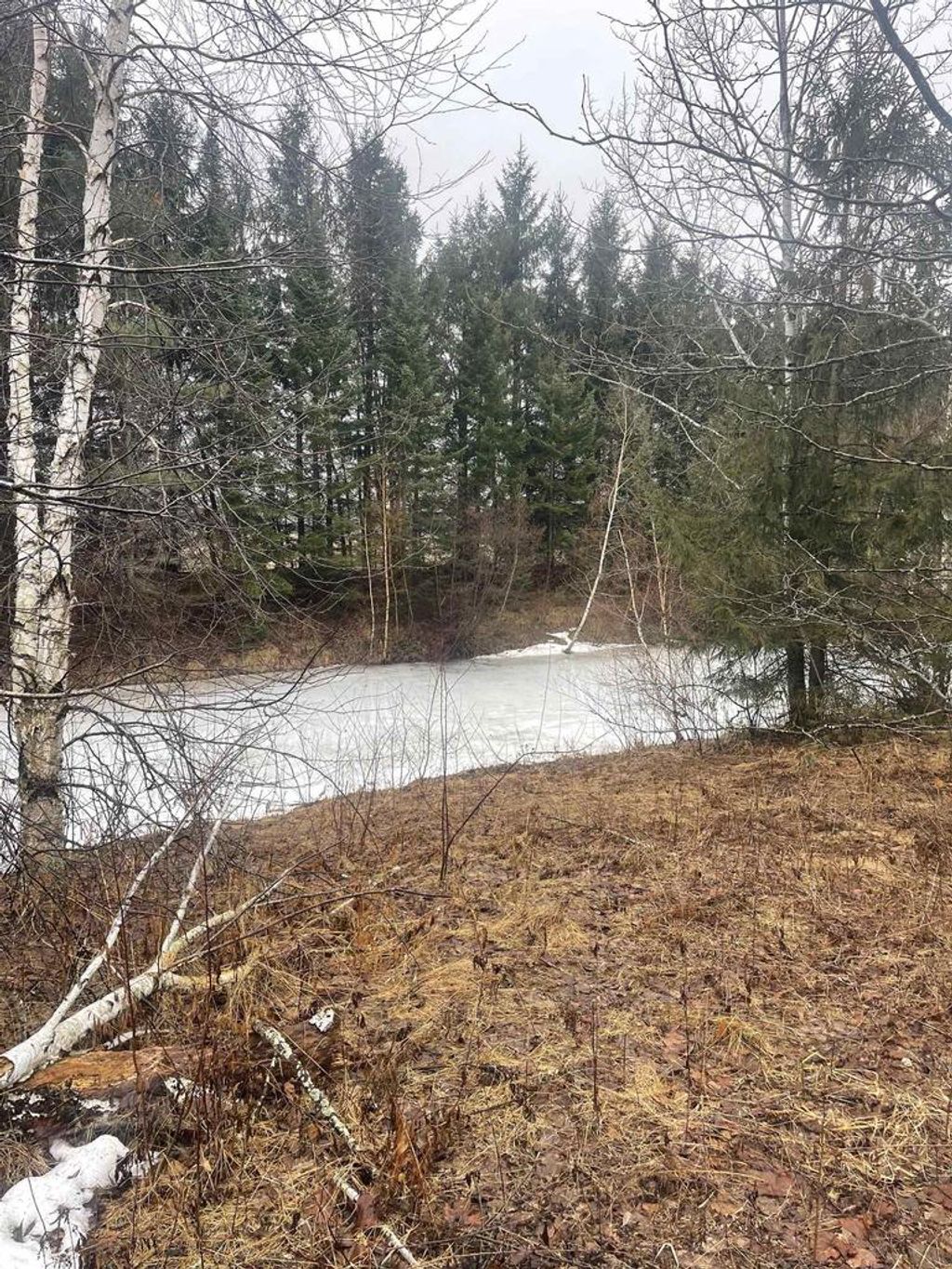 Photo of N4664 Esquina COURT, Krakow, WI 54137 (MLS # 50322019)