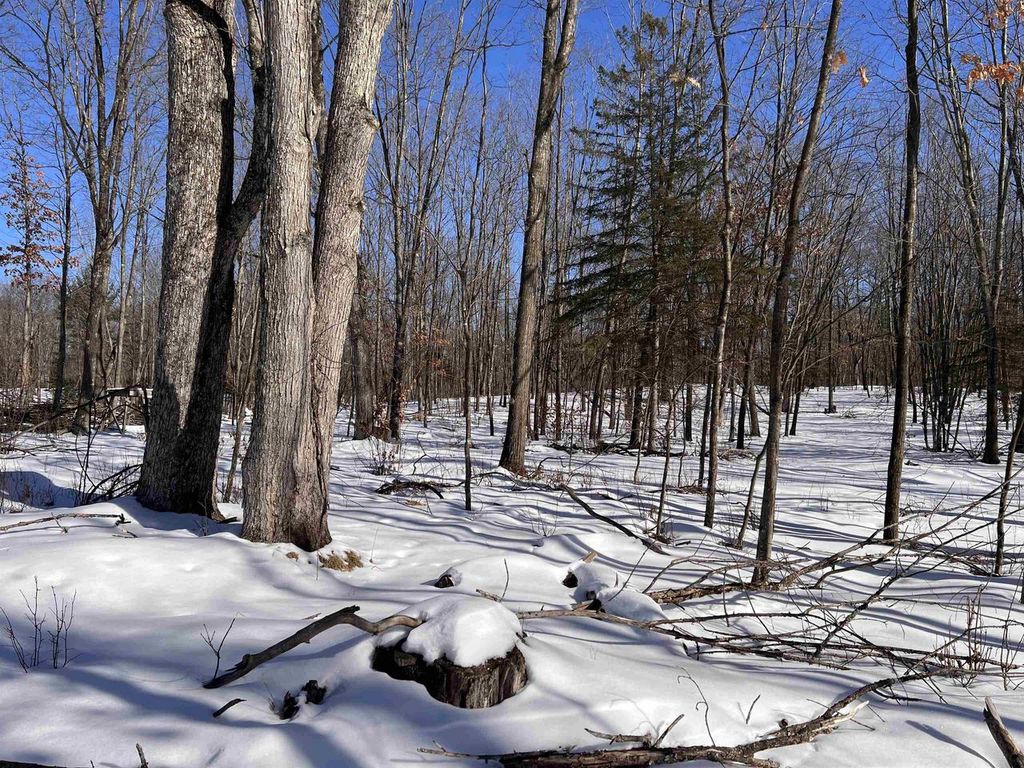 Photo of Rhett LANE, Wausaukee, WI 54177 (MLS # 50320732)