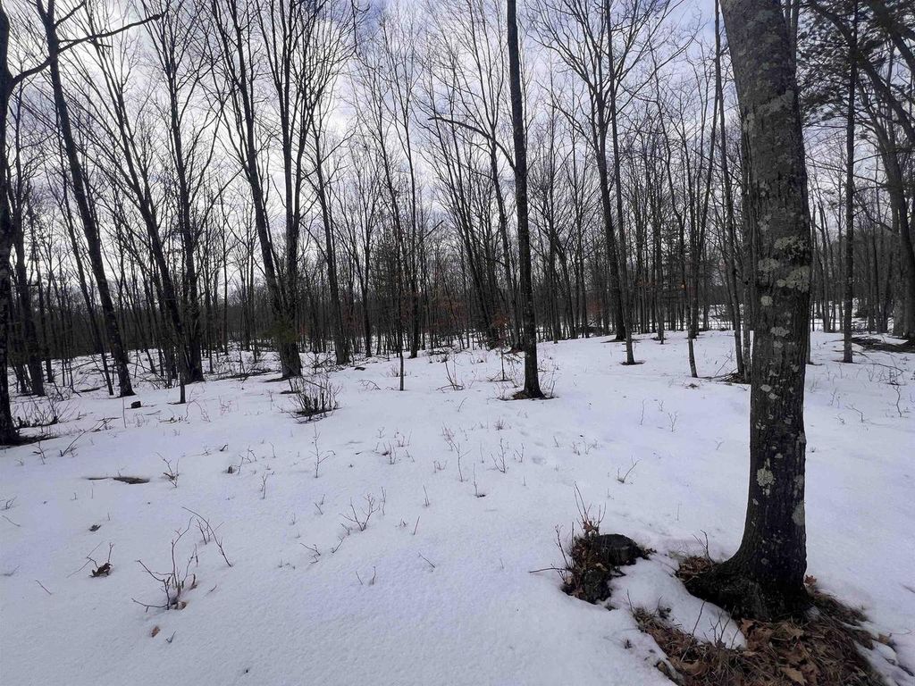 Photo of Rhett LANE, Wausaukee, WI 54177 (MLS # 50320732)