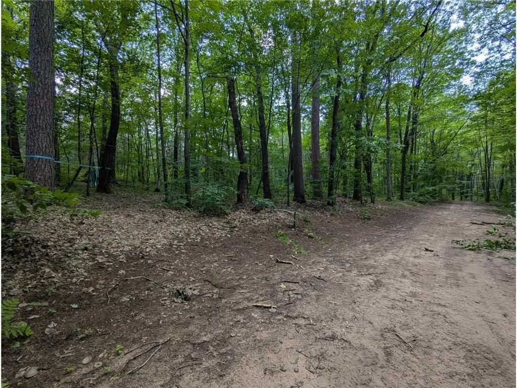 Photo of Lot 4 Fosmo, Webster, WI 54893 (MLS # 7041587)