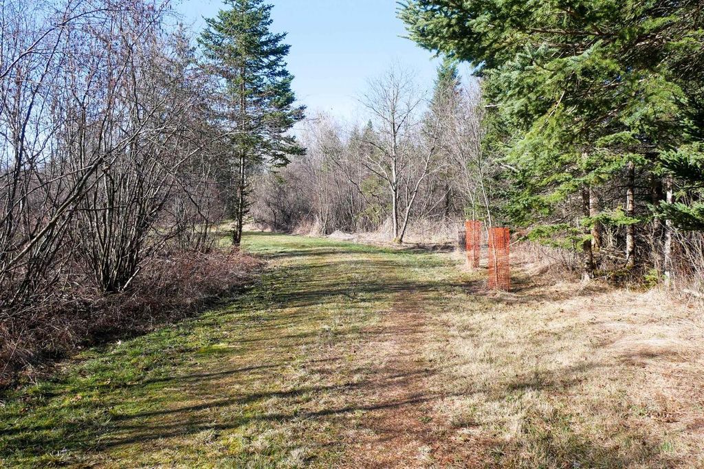 Photo of +/-41.85 Acres County Road M, Rib Lake, WI 54470 (MLS # 22601561)