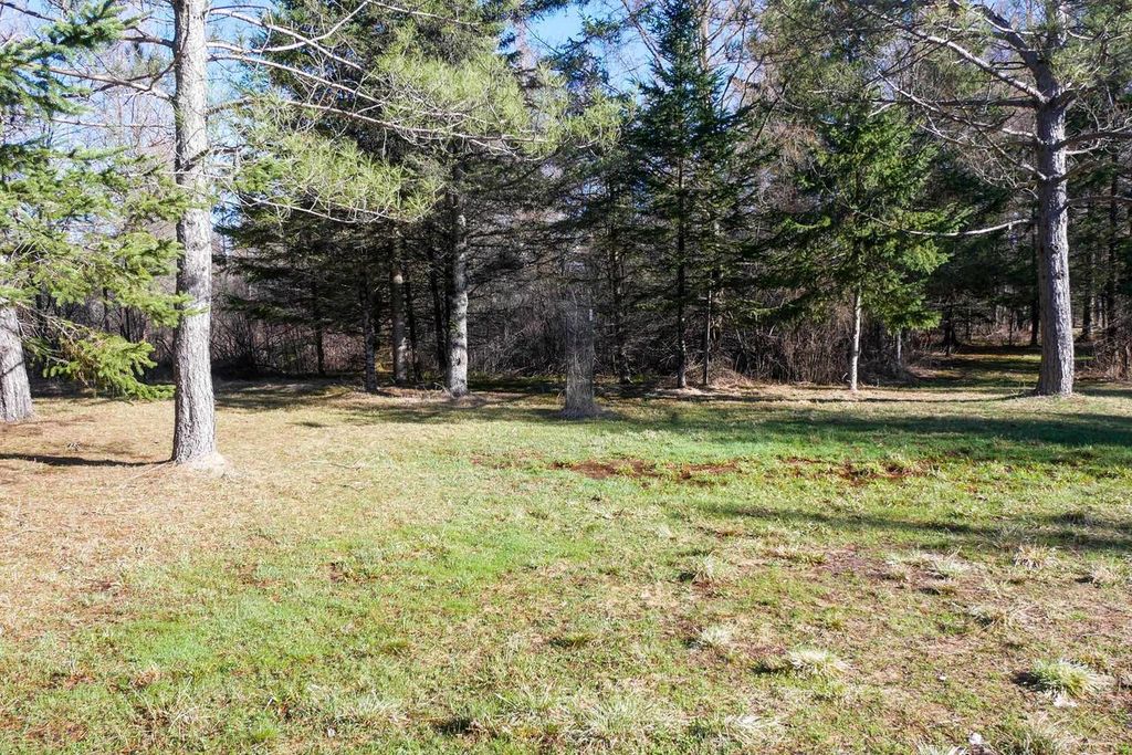 Photo of +/-41.85 Acres County Road M, Rib Lake, WI 54470 (MLS # 22601561)