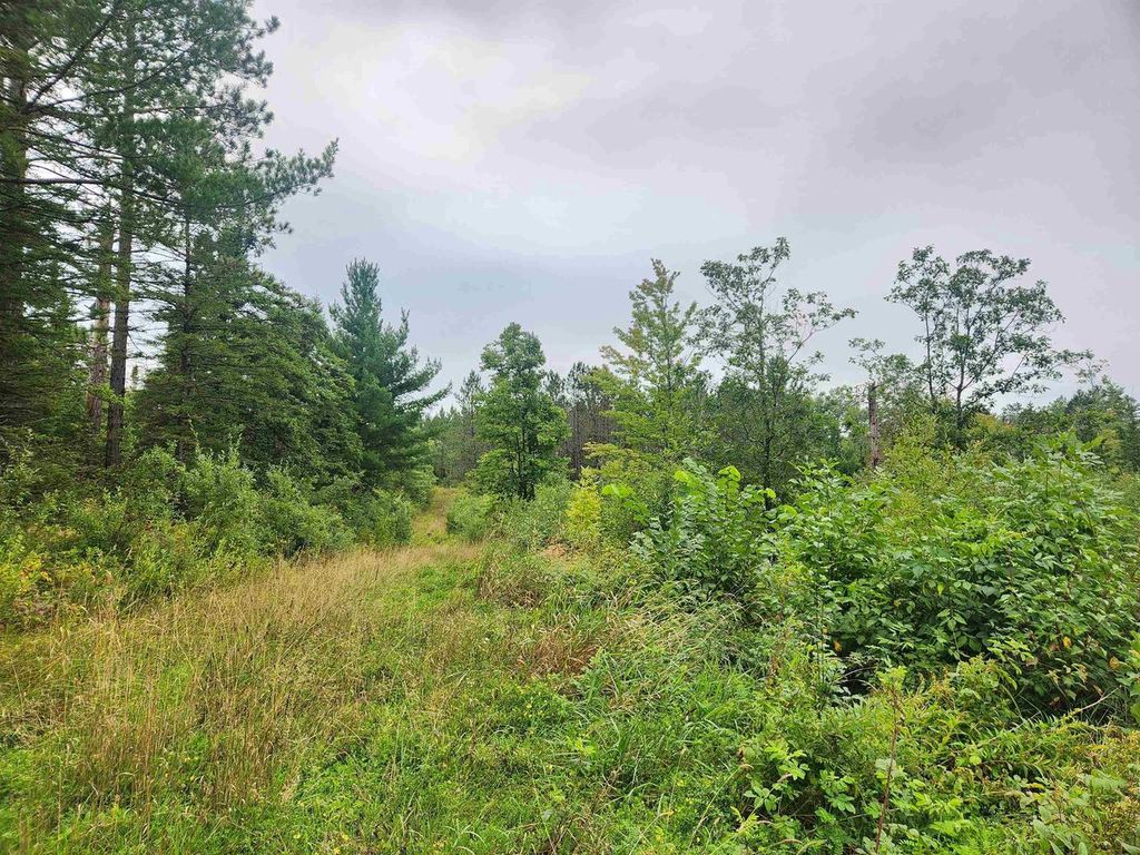 Photo of 27XXX Dayton ROAD, Washburn, WI 54891 (MLS # 6122840)