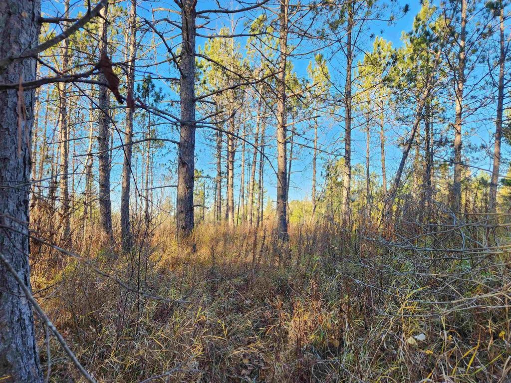 Photo of 27XXX Dayton ROAD, Washburn, WI 54891 (MLS # 6122840)