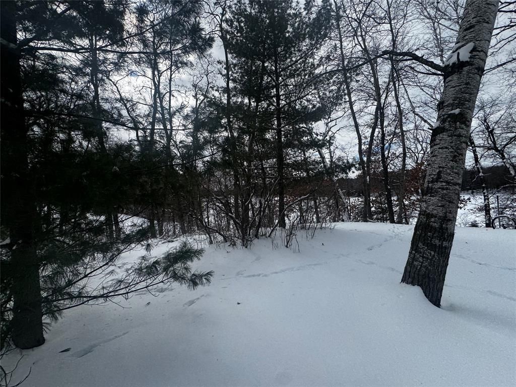 Photo of Lot 1 Shake ROAD, Spooner, WI 54801 (MLS # 1599900)
