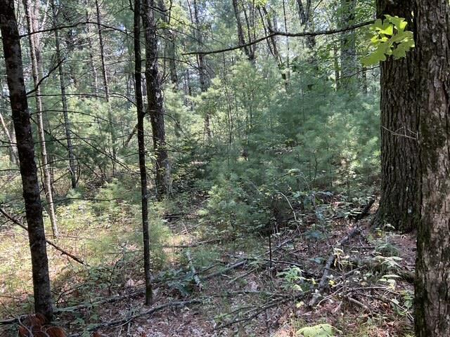Photo of Parcel 18th AVENUE, Arkdale, WI 54613 (MLS # 2029539)