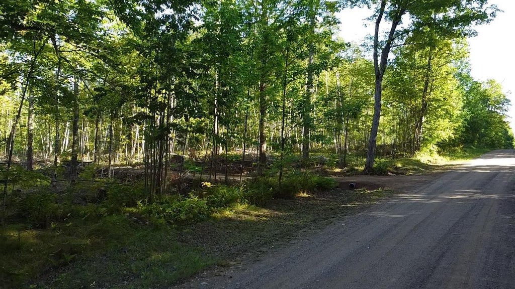 Photo of Tower DRIVE, Crandon, WI 54520 (MLS # 50332228)