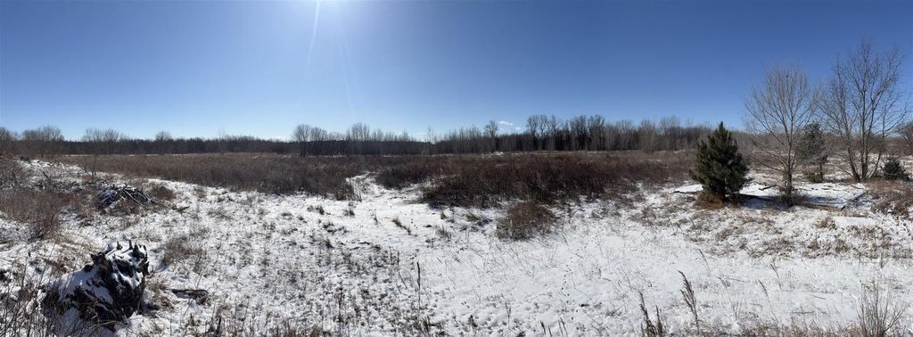 Photo of 1380 Beauprey ROAD, Shawano, WI 54166 (MLS # 50321526)