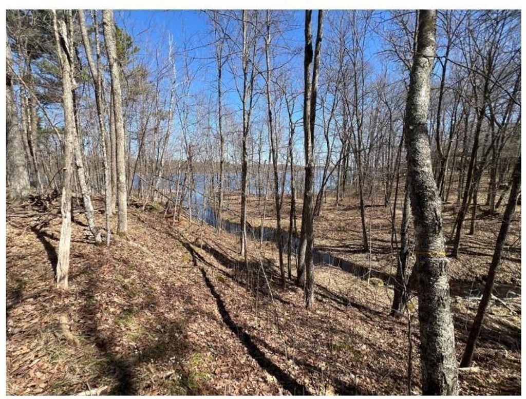 Photo of 43TBD Red Oak LANE, Stone Lake, WI 54876 (MLS # 1600230)