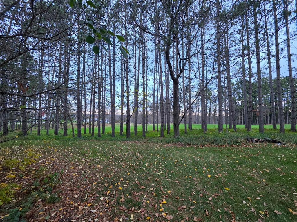 Photo of W1060 Silver Fox DRIVE, Spring Valley, WI 54767 (MLS # 7165056)