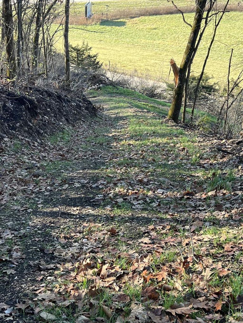 Photo of 19 acres Old Hwy 61, Boscobel, WI 53805 (MLS # 2014121)