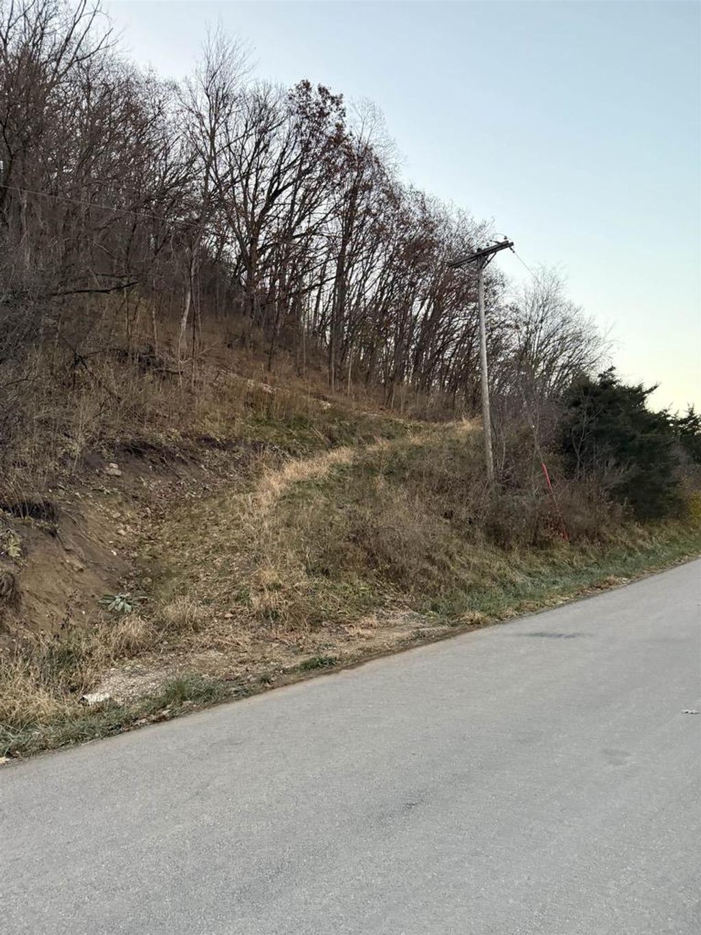 Photo of 19 acres Old Hwy 61, Boscobel, WI 53805 (MLS # 2014121)