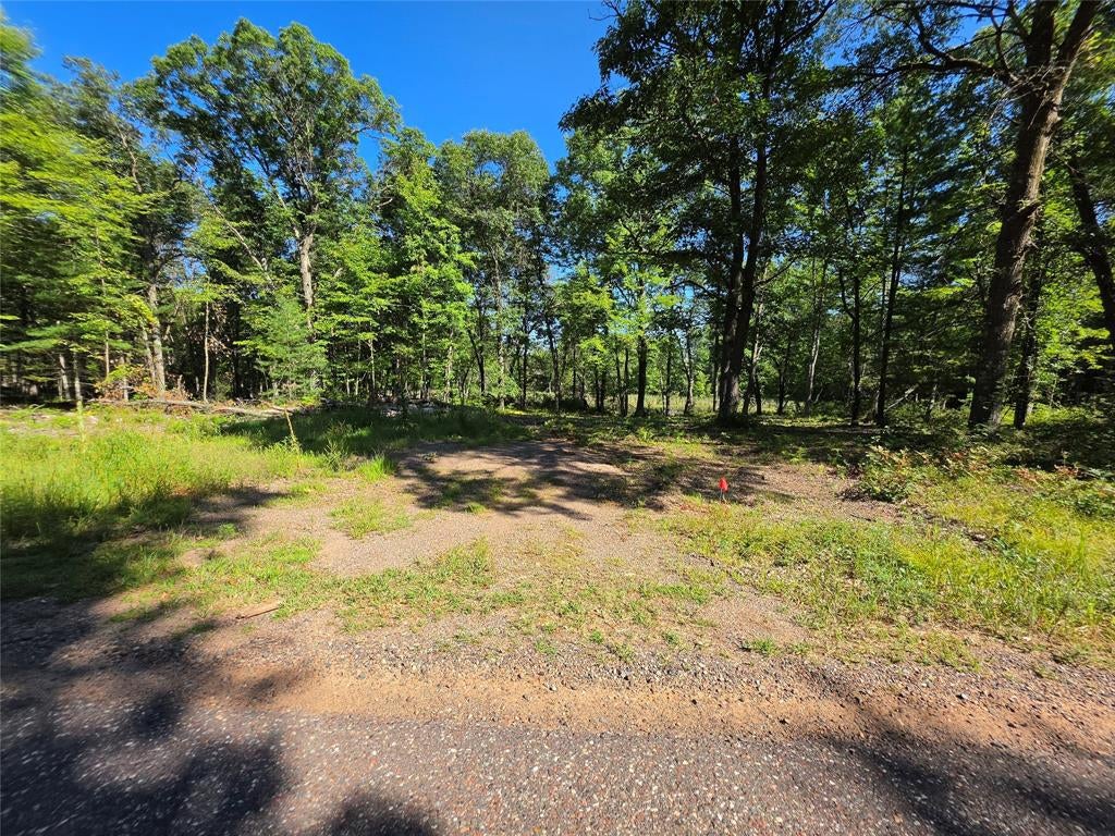 Photo of 27696 295th (Lot 15) STREET, Holcombe, WI 54745 (MLS # 1604256)