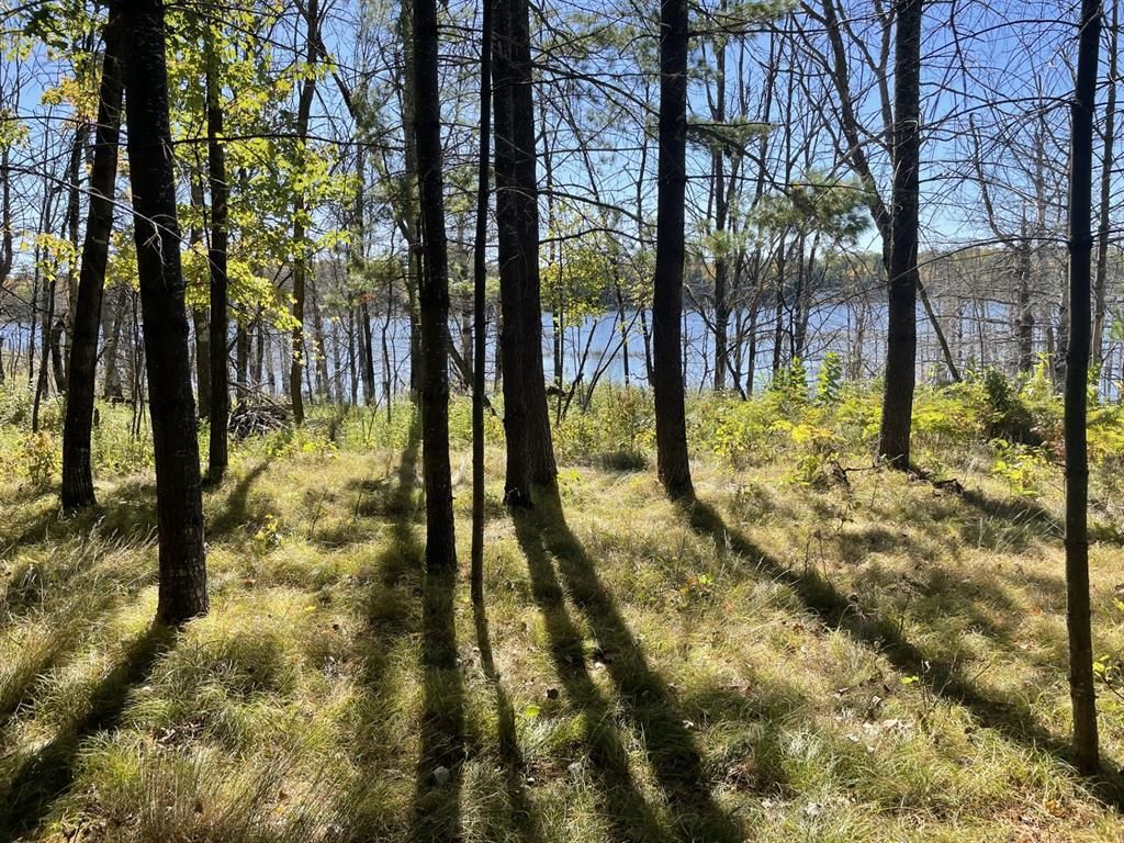 Photo of 10385 Whispering Pines ROAD, Drummond, WI 54832 (MLS # 1599943)