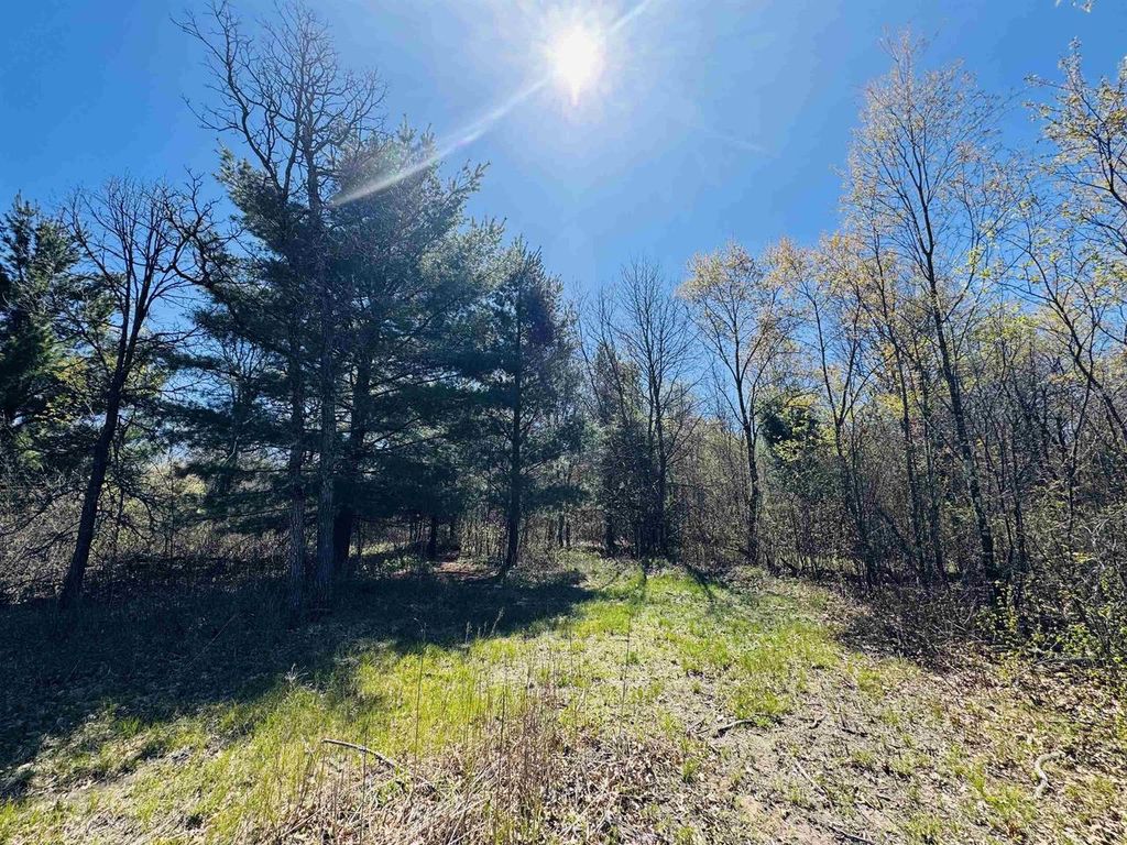 Photo of 12565 Bell ROAD, Wisconsin Rapids, WI 54494 (MLS # 2023053)