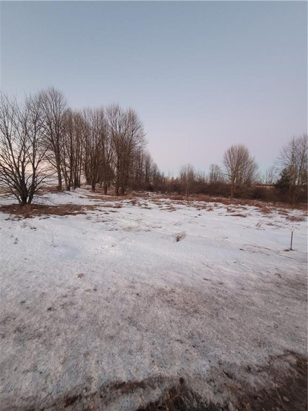 Photo of 0 County Hwy B Lot 1, Neillsville, WI 54456 (MLS # 1597934)