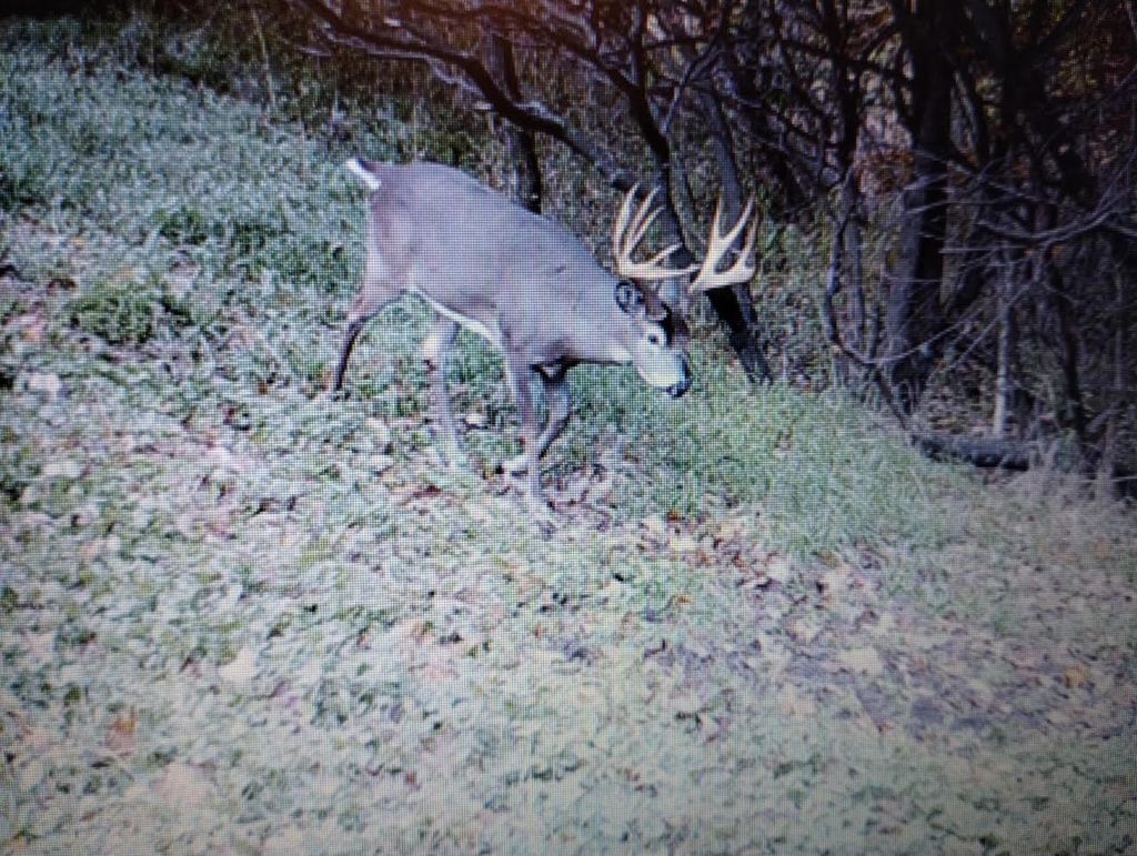 Photo of 25005 Norhardt AVENUE, Ontario, WI 54651 (MLS # 1942791)