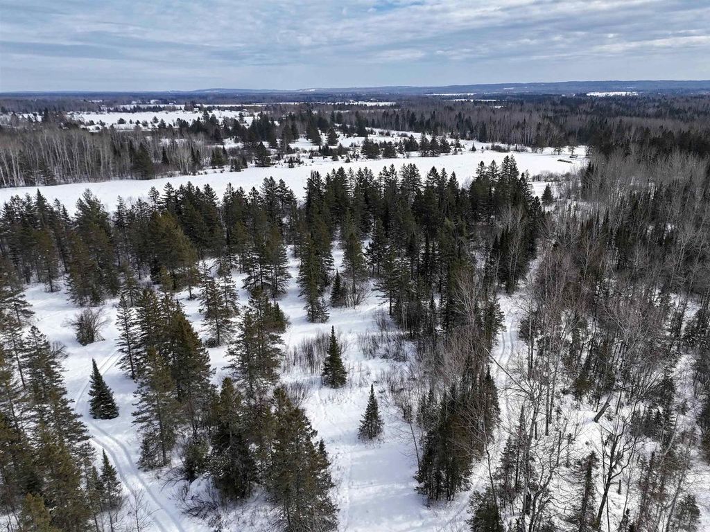 Photo of 89.85 Acres S Pellman Lp, Other, WI 54854 (MLS # 2017352)